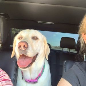 Meet your Posher, Danica